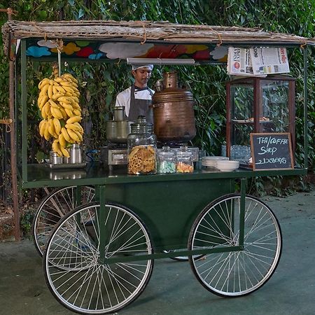 Cardamom County By Xandari Hotell Thekkady Exteriör bild