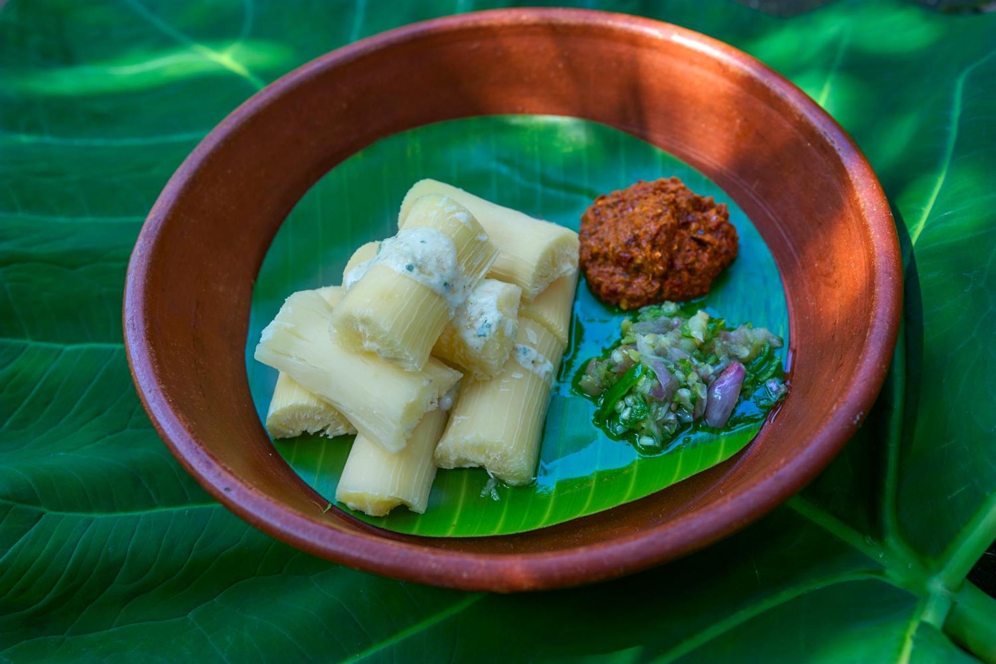 Cardamom County By Xandari Hotell Thekkady Exteriör bild